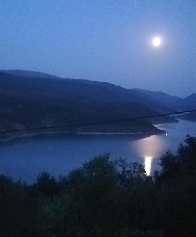 Vila Zapis - Zavojsko Jezero Пирот Экстерьер фото