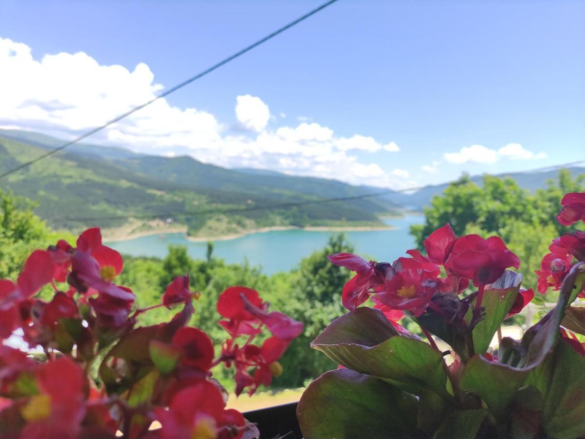 Vila Zapis - Zavojsko Jezero Пирот Экстерьер фото