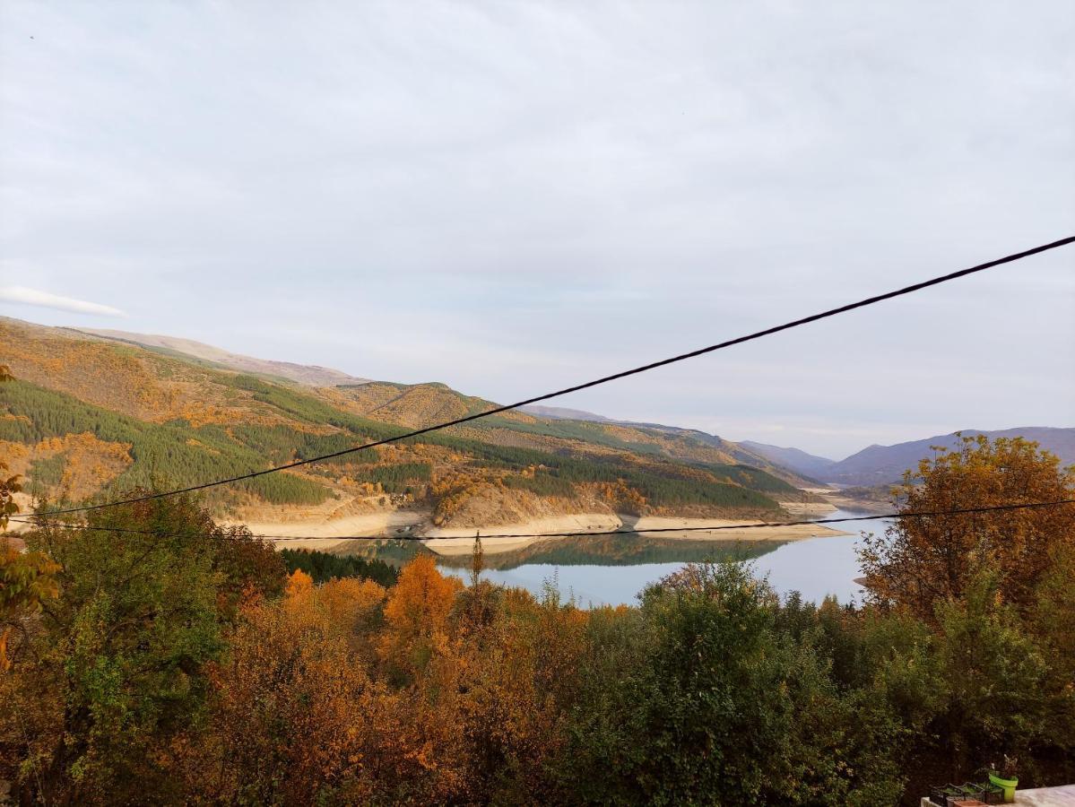 Vila Zapis - Zavojsko Jezero Пирот Экстерьер фото