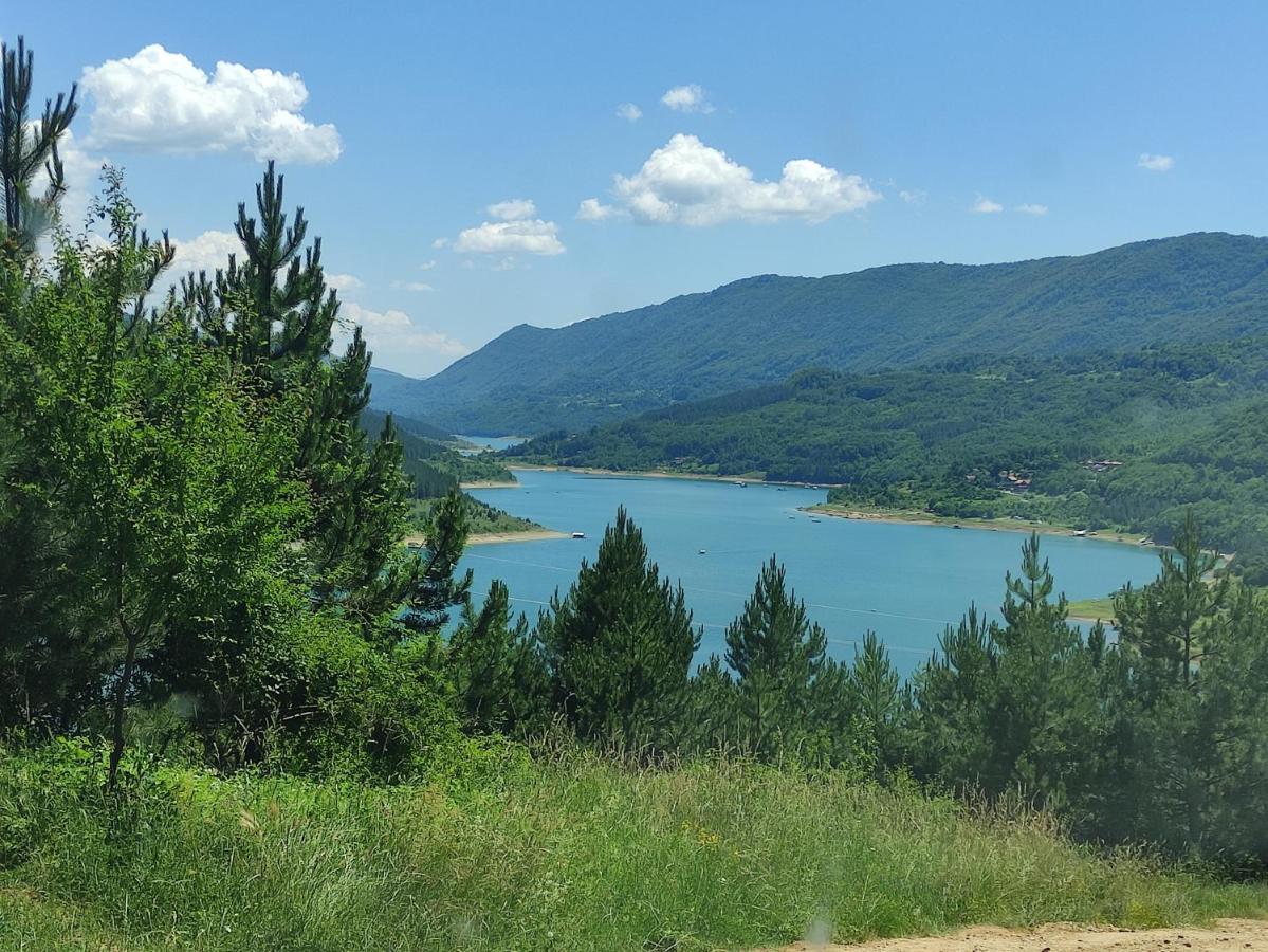 Vila Zapis - Zavojsko Jezero Пирот Экстерьер фото